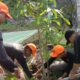 DPD FKBPPPN Kota Padang melakukan aksi menanam pohon. (Foto: Dok. Istimewa)