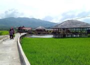 Dukung Ketahanan Pangan, Pemko Solok Tingkatkan Produksi Padi