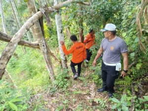 Pencarian orang hilang di Bukit Baliang-baliang, Kelurahan Bungus Barat, Kecamatan Bungus Teluk Kabung, Kota Padang. (Foto: Dok. Basarnas)