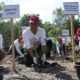 Direktur Utama PT Semen Padang Asri Mukhtar Dt Tumangguang Basa tengah melakukan penanaman bibit pohon kaliandra di kawasan Bukit Atas, PT Semen Padang, Selasa (28/11/2023). (dok. Humas)