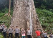 Pemkab Agam Catat Kunjungan Wisatawan selama 2023 Capai 118.680 Orang