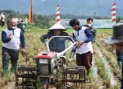 2024, Program Bajak Sawah Gratis Sasar 4.400 Ha Lahan Petani di Tanahdatar