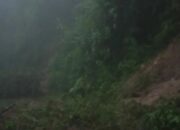 Longsor dan Banjir Bandang di Agam, Ini Tiga Kecamatan Terdampak