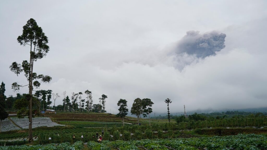 Pantauan erupsi Gunung Marapi dari Kabupaten Tanahdatar. (Foto: Dok. Istimewa)