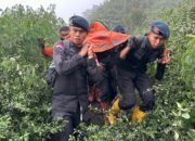 Tim DVI Sudah Identifikasi 22 Korban Meninggal Erupsi Gunung Marapi, Ini Nama-namanya