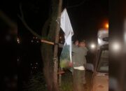 Langgar Aturan, Satpol PP Padang kembali Copot Sejumlah Baliho dan Spanduk