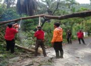 Berpotensi Hujan Ekstrem hingga Besok, BPBD Padang Imbau Warga Waspada