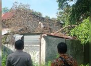Hujan Lebat Disertai Angin Kencang, Pohon Tumbang Timpa Rumah Warga di Padang