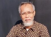 Pemanfaatan SDA Terintegrasi Banyak Sektor, Pemprov Sumbar Diminta Tiru Jepang