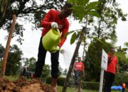 Manajemen dan Karyawan PT Semen Padang Lakukan SERO di Area Konservasi