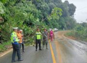 Longsor Sempat Timbun Jalan Lintas Sumbar-Riau