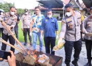 Polres 50 Kota Berhasil Gagalkan Peredaran 10 Kilogram Ganja