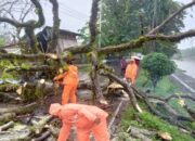 Antisipasi Bencana Alam saat Pancaroba, BPBD Siagakan Personel dan Peralatan