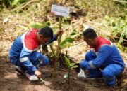Gerakan Dekarbonasi, Pertamina Patra Niaga Sumbagut Tanam 3.250 Bibit Pohon di Sumbar dan Riau