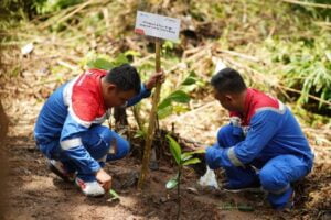 Aksi penanaman bibit pohon oleh Pertamina Patra Niaga Regional Sumbagut. (Foto: Dok. Pertamina)