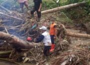 BPBD Tanahdatar: Longsor dan Pohon Tumbang Dominasi Bencana Alam sepanjang 2023