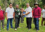 Ini Alasan Keltan Guguak Pandam Duri Saiyo Tertarik dengan Kaliandra Merah