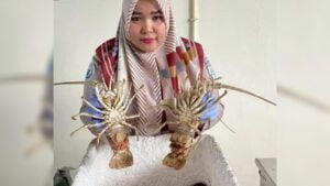 Petugas karantina di Padang gagalkan pengiriman ilegal lobster. (dok. Infopublik)