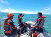 Perahu Nelayan Dihantam Ombak di Perairan Padang Pariaman, Basarnas: Korban 3 Orang, 1 Meninggal