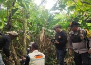 Tangani Konflik Satwa Liar, BKSDA Sumbar Terjunkan Tim ke Dua Nagari di Agam