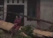 Terkait Dugaan Pembalakan Liar di Lubuk Nyiur, Pemkab Pessel segera Koordinasi dengan Provinsi