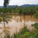 Banjir rusak lahan pertanian di Pasbar beberapa waktu lalu. (dok. Antara)