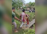 Sempat Dinyatakan Hilang usai Diserang Buaya, Pencari Lokan di Agam Ditemukan Meninggal