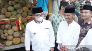 Bupati Solok Selatan Khairunas didampingi Wakil Bupati Yulian Efi berkeliling dilokasi festival durian di Pulau Mutiara Nagari Lubuk Gadang Utara. (Antara/Erik)