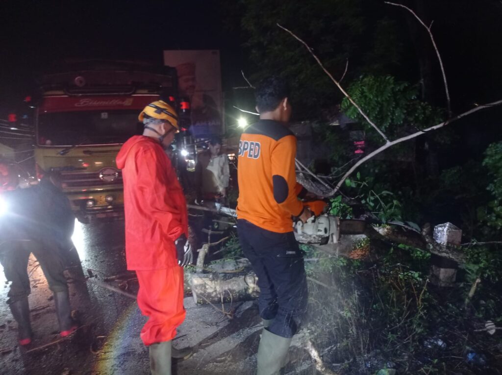 Petugas dari Tim Reaksi Cepat (TRC) BPBD Kota Padang memotong pohon yang tumbang di kawasan Jembatan Baru Kuranji pada Kamis (20/6/2024) malam. (Foto: Dok. Pusdalops PB)