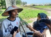 Cuaca Buruk dan Ombak Besar, Nelayan di Pariaman Kurangi Intensitas Melaut