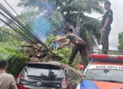 Hujan Deras di Padang Akibatkan Pohon Tumbang hingga Timpa Rumah dan Mobil Warga
