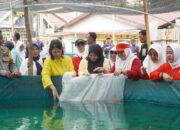 IKBI dan PTPN IV Regional 4 Sebar 950 Bibit Ikan dan Edukasi Pembuatan Biopori