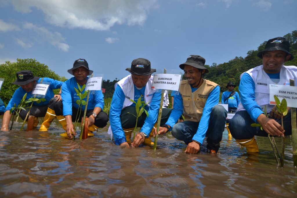 Penanaman pohon mangrove TJSL Pertamina Patra Niaga Regional Sumbagut di kawasan Teluk Buo, Kecamatan Bungus Teluk Kabung, Kota Padang pada Kamis (1/8/2024) lalu. (Foto: Dok. Pertamina)