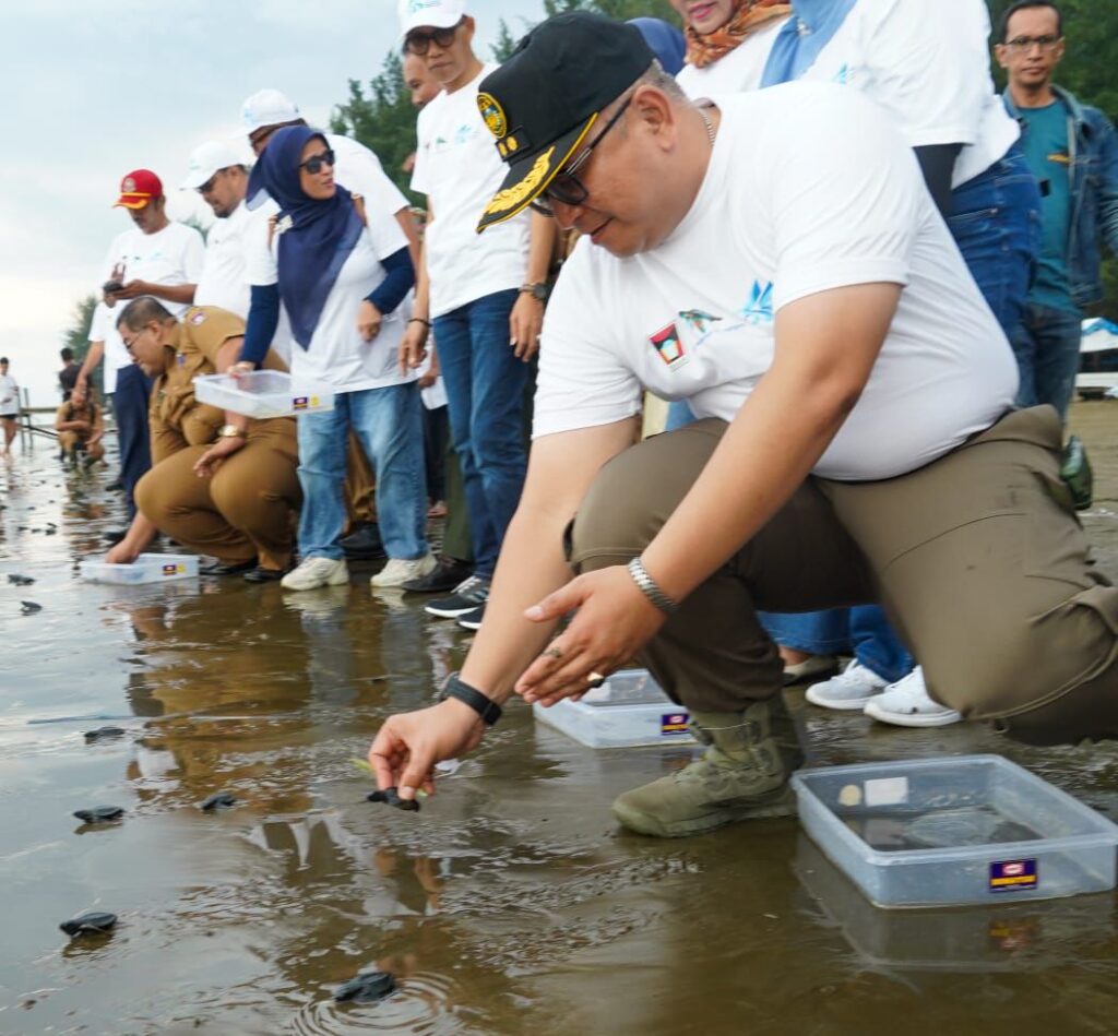 Penjabat Wali Kota (Pj Wako) Padang, Andree Harmadi Algamar melepas penyu sebagai tanda peluncuran maskot resmi daerah tersebut di Pantai Air Manis, Senin (5/8/2024) siang. (Foto: Dok. Prokopim)