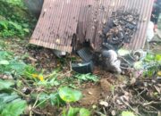 Pohon Tumbang dan Longsor di Padang, 1 Orang jadi Korban