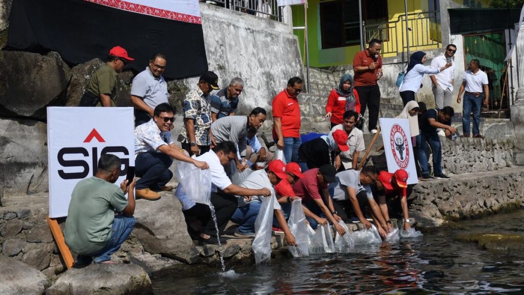 Semen Padang restocking bilih di Danau Singkarak. (dok. Humas)