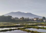 BKSDA-Ombudsman dan Pemda Sepakat Tutup Permanen Gunung Marapi