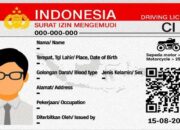 Mulai Juni 2025, SIM Indonesia Bisa Digunakan di Luar Negeri
