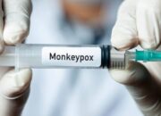 Mengenal Virus Cacar Monyet, Penularan dan Pencegahannya