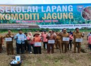 Tingkatkan Pengetahuan Petani, Pemkab Pasbar Optimalkan Sekolah Lapangan