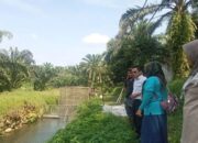 Pemkab Pasaman Barat Salurkan 250 Ribu Bibit Ikan ke Masyarakat