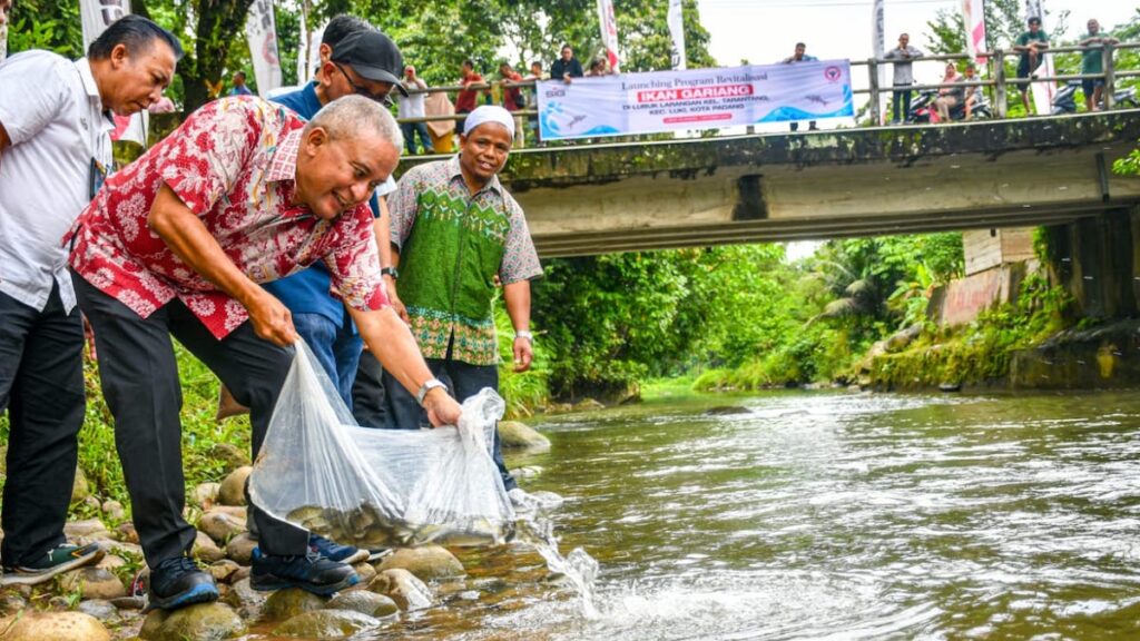 Program revitalisasi ikan gariang yang diinisiasi Semen Padang di daerah Tarantang, Kecamatan Lubuk Kilangan, Kota Padang. (dok. Humas)