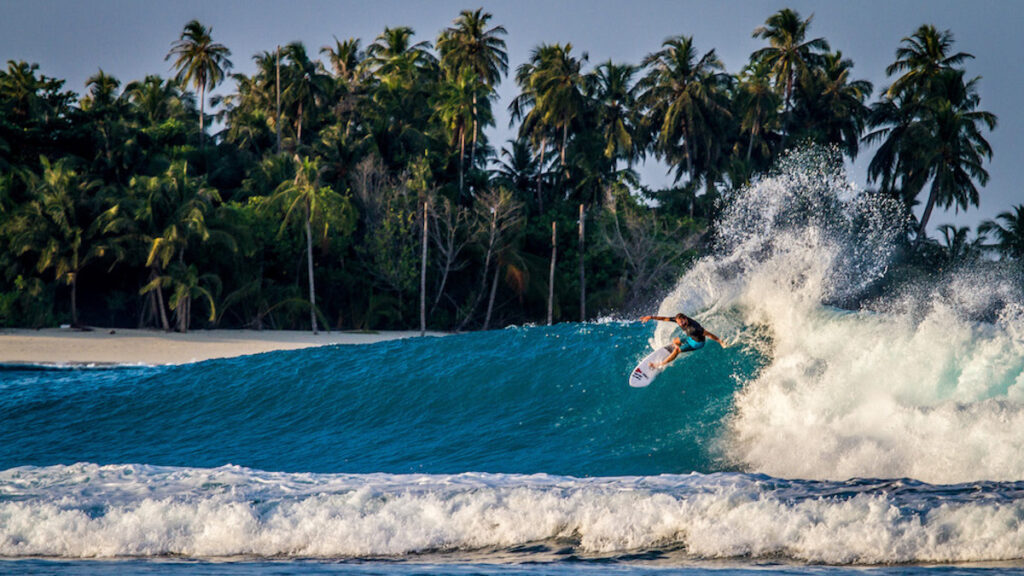 ilustrasi berselancar di Mentawai. (dok. istimewa)