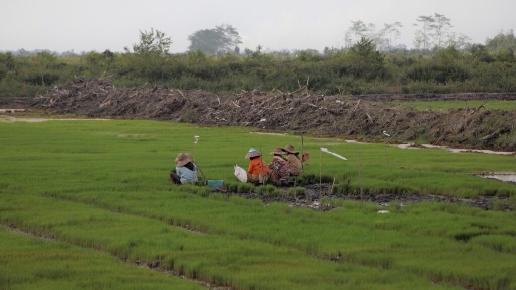 ilustrasi pengerjaan cetak sawah. (dok. Humas Kementan)