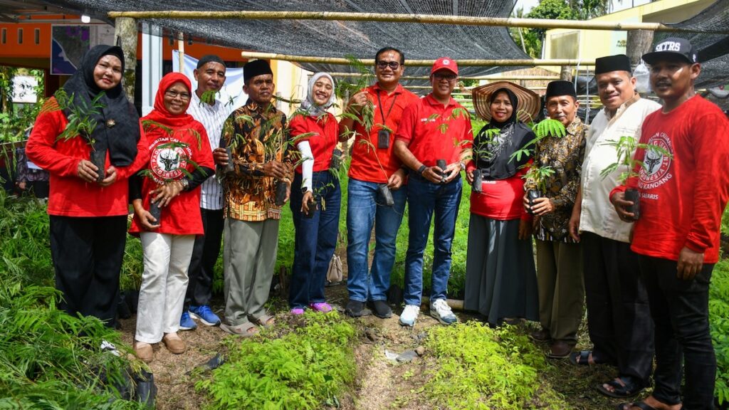 Manajemen PT SEmen Padang panen perdana bibit kaliandra di Sialangan, Kabupaten Padang Pariaman. (dok. Humas)