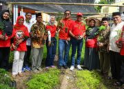 Panen Perdana 45.000 Bibit Kaliandra di HKm Sialangan, Komitmen PT Semen Padang pada Energi Terbarukan