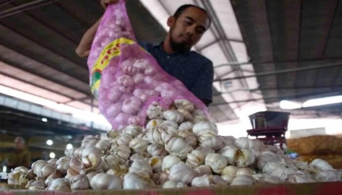 Bapanas Jamin Pasokan Bawang Putih Nasional Aman, Perkuat Pengawasan dan Distribusi
