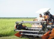 Survei: 61,5% Masyarakat Puas atas Kebijakan Ketahanan Pangan Nasional