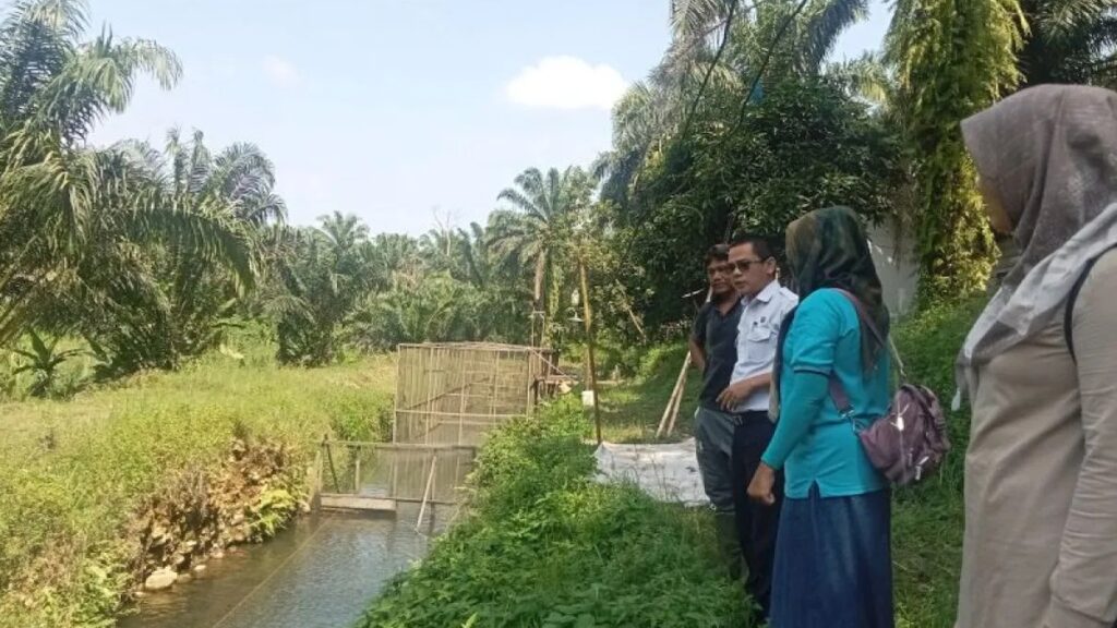 Kepala Dinas Perikanan Pasaman Barat Zulfi Agus saat meninjau salah satu kolam perikanan budidaya di Kecamatan Pasaman. (Antara/Altas Maulana).  (Capaian produksi ikan)