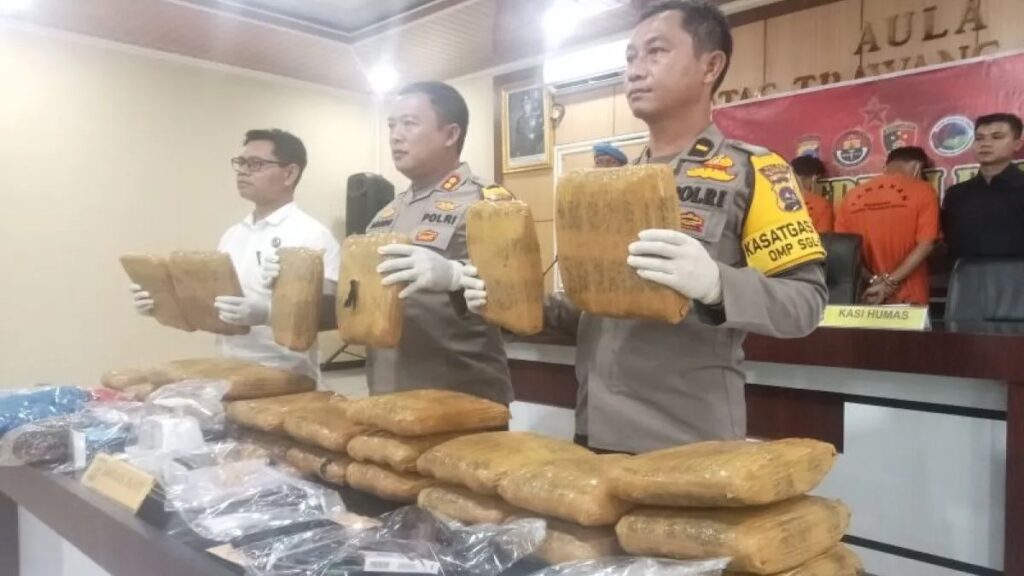 Kapolres Pasbar perlihatkan barang bukti 30 kg ganja. (dok. istimewa)